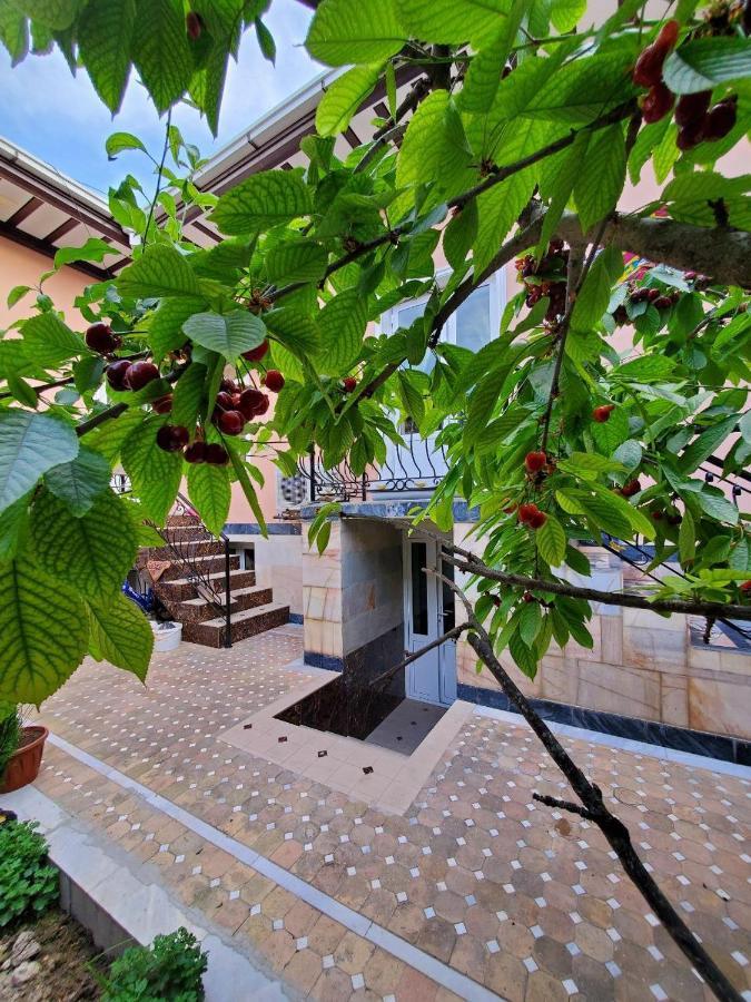 Nursultan Grand Guest House Samarkand Exterior photo